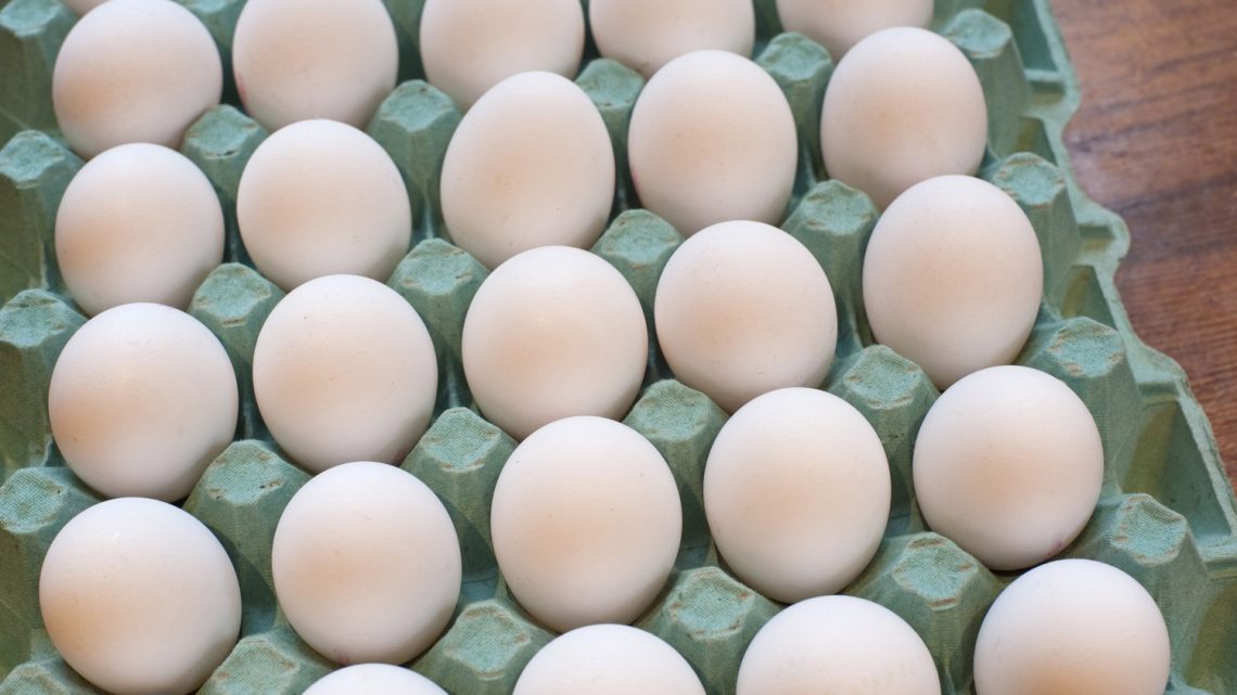 Cardboard tray of delicious farm fresh white hens eggs in a store or farmers market